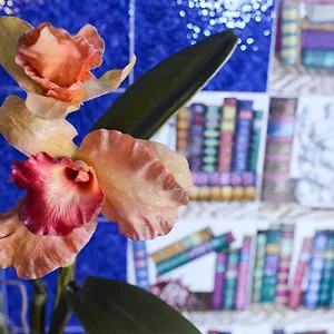 https://bb-casa-felice.it-romehotels.com